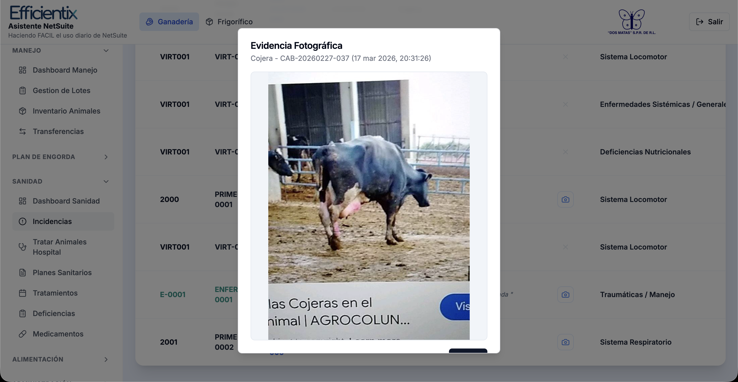 Health record with photo evidence per animal in the Livestock App
