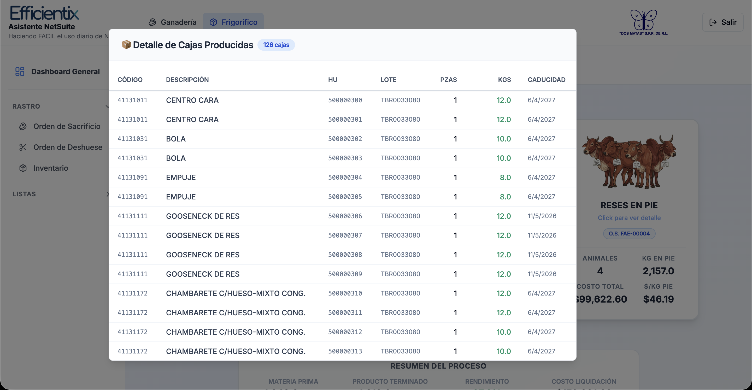Audit and consolidation of several ranches in NetSuite