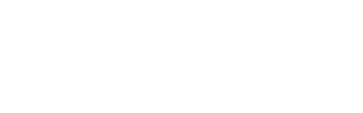 Oracle NetSuite Solution Provider Partner